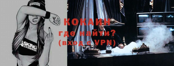 эйфоретик Арсеньев