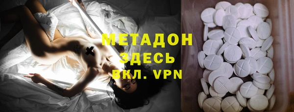 индика Алзамай