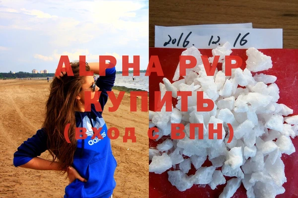 эйфоретик Арсеньев
