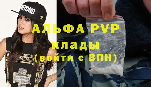 эйфоретик Арсеньев