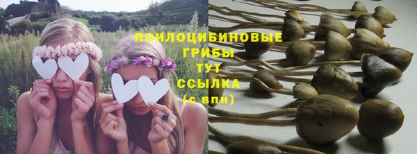 эйфоретик Арсеньев