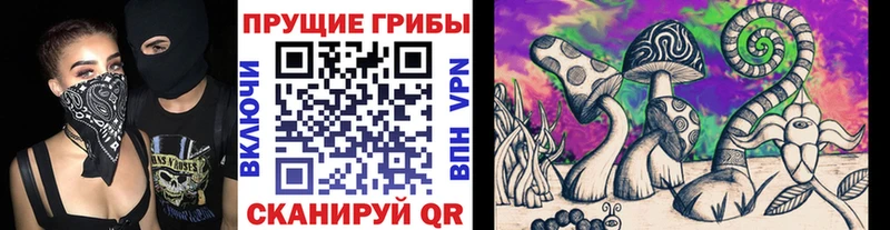 OMG tor  Камбарка  Псилоцибиновые грибы прущие грибы 